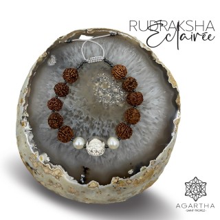 RUDRAKSHA ÉCLAIRÉE