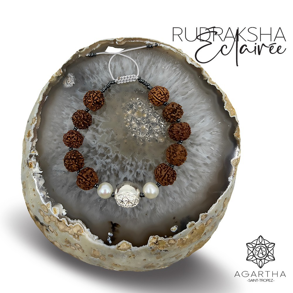 RUDRAKSHA ÉCLAIRÉE RUDRAKSHA ÉCLAIRÉE