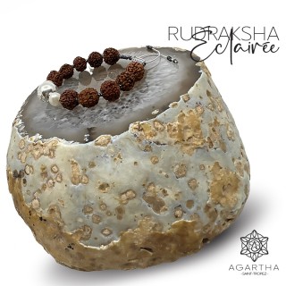 RUDRAKSHA ÉCLAIRÉE