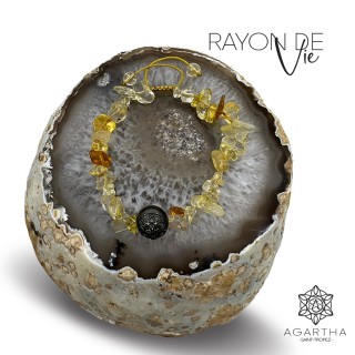 RAYON DE VIE