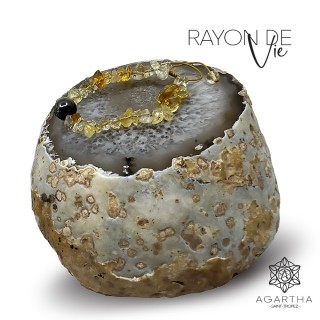 RAYON DE VIE