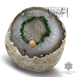 TRÉSOR VÉGÉTAL