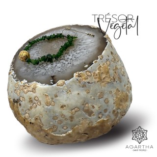TRÉSOR VÉGÉTAL