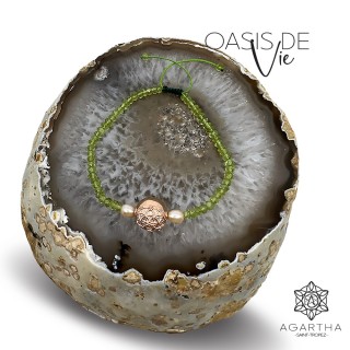OASIS DE VIE