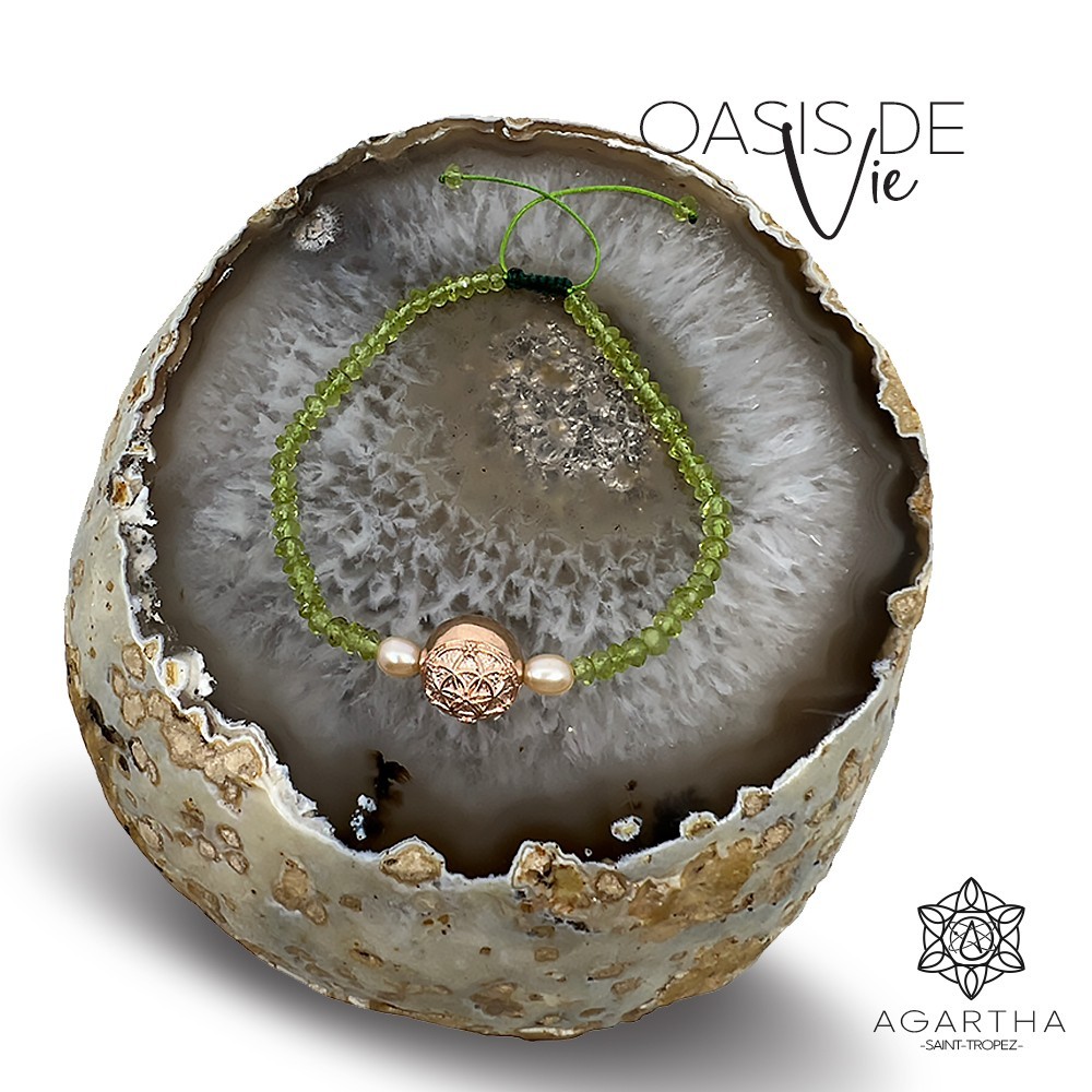 OASIS DE VIE OASIS DE VIE