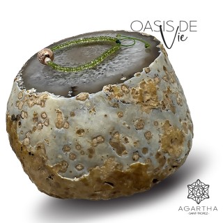 OASIS DE VIE