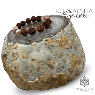 RUDRAKSHA SACRÉE
