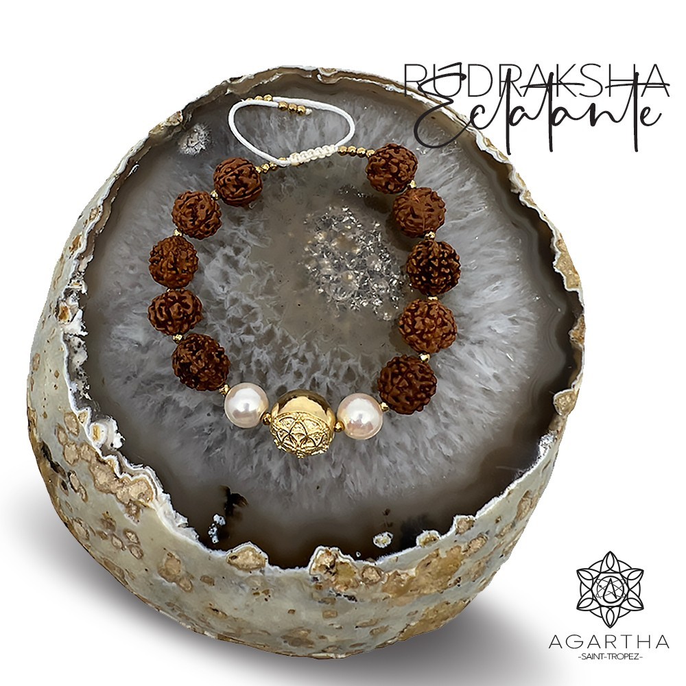 RUDRAKSHA ÉCLATANTE RUDRAKSHA ÉCLATANTE