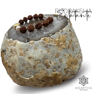 RUDRAKSHA ÉCLATANTE