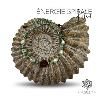 ÉNERGIE SPIRALE KIWI