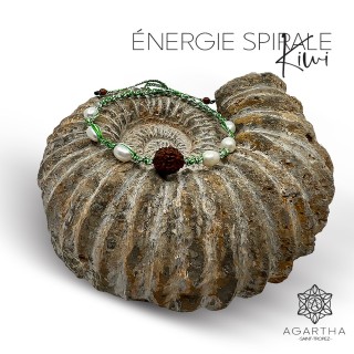 ÉNERGIE SPIRALE KIWI