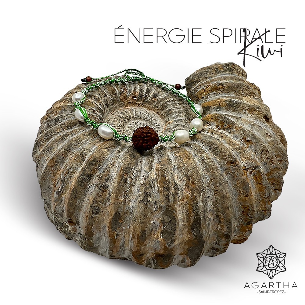 ÉNERGIE SPIRALE KIWI ÉNERGIE SPIRALE KIWI