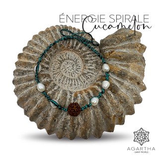 ÉNERGIE SPIRALE CUCAMELON