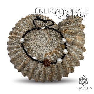 ÉNERGIE SPIRALE RÉGLISSE