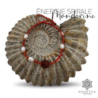 ÉNERGIE SPIRALE MANDARINE