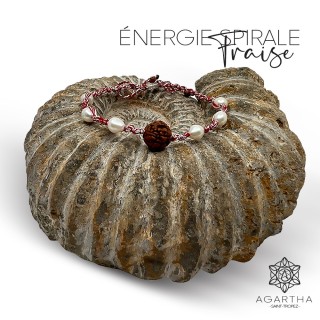 ÉNERGIE SPIRALE FRAISE