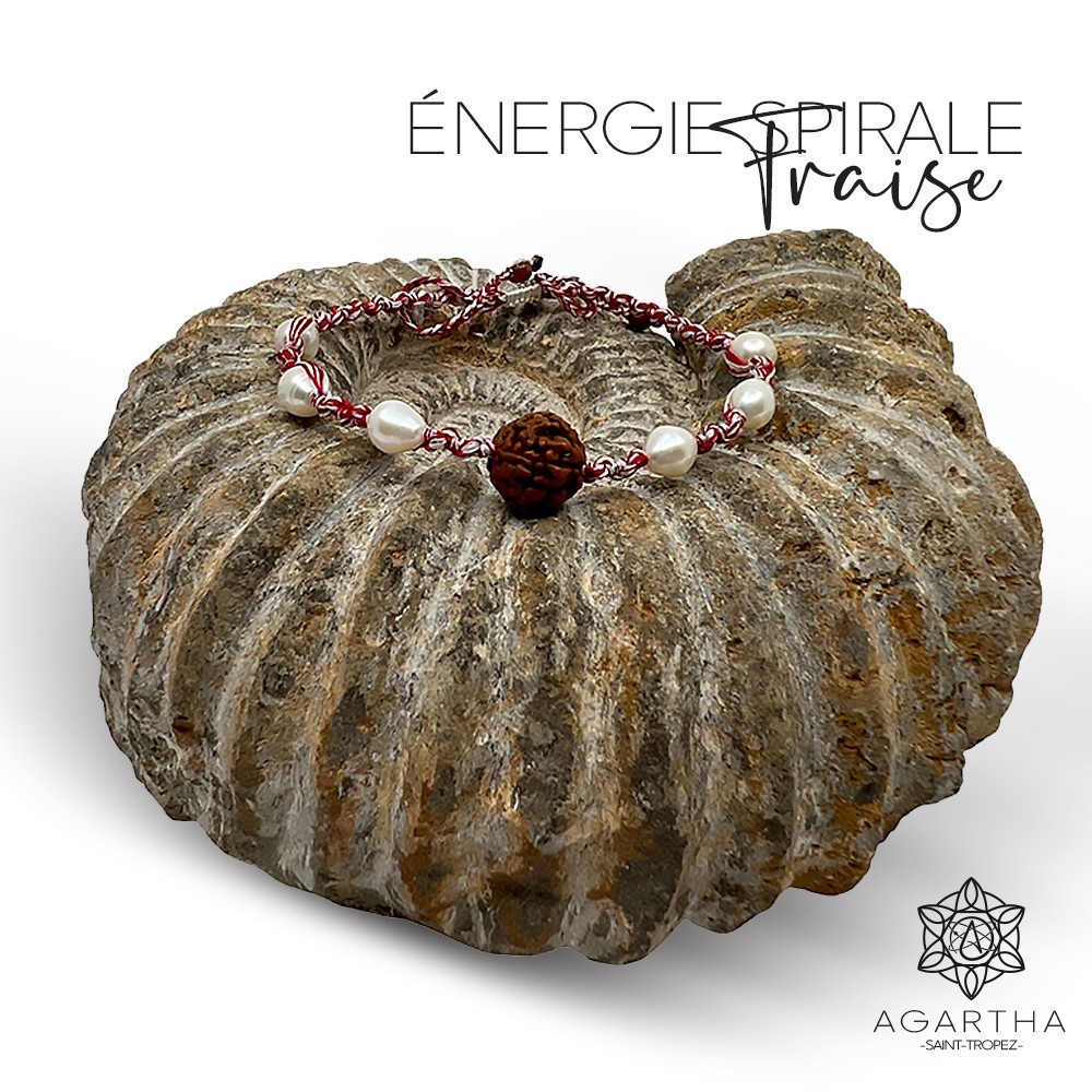 ÉNERGIE SPIRALE FRAISE ÉNERGIE SPIRALE FRAISE