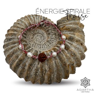ÉNERGIE SPIRALE FRAISE