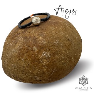 AEGIS