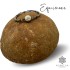 EQUINOXE