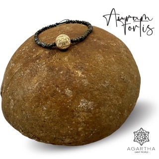 AURUM FORTIS