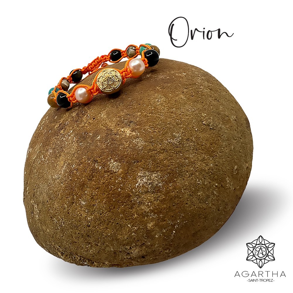 ORION ORION