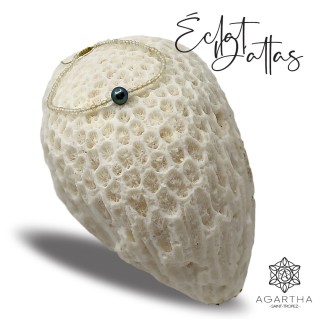 ÉCLAT D'ATLAS