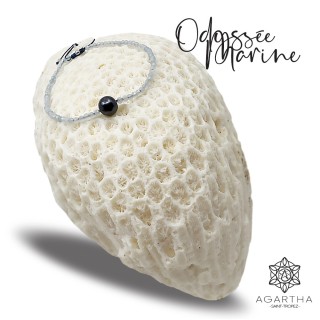 ODYSSÉE MARINE