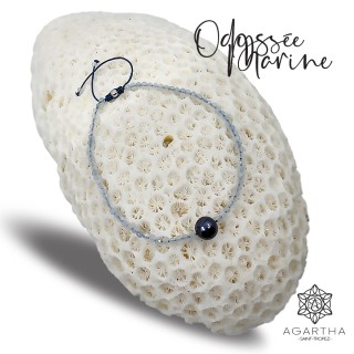 ODYSSÉE MARINE