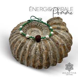 ÉNERGIE SPIRALE POMME