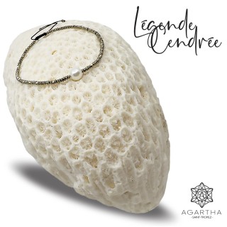 LÉGENDE CENDRÉE