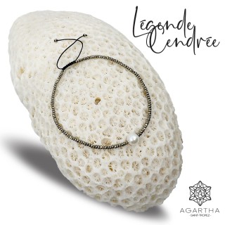 LÉGENDE CENDRÉE