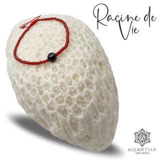 RACINE DE VIE
