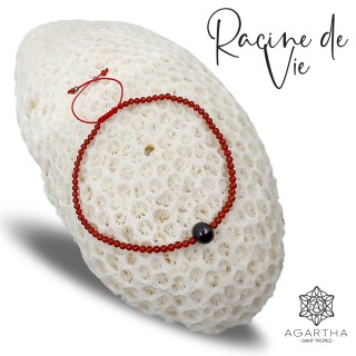 RACINE DE VIE
